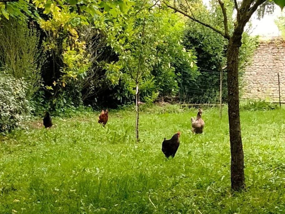 Willa Le Cinq, Au Coeur Du Vexin Themericourt Zewnętrze zdjęcie